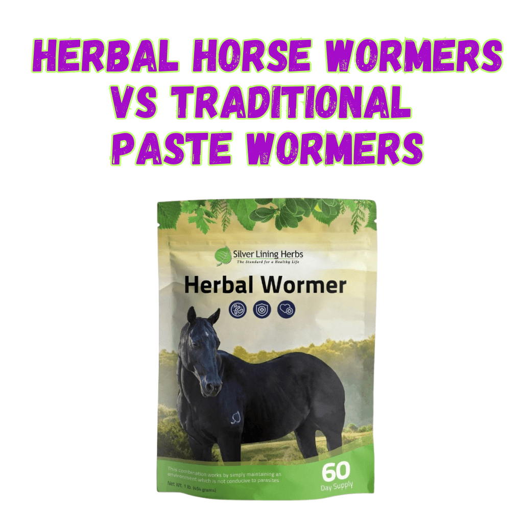 Herbal Horse Wormers vs Traditional Paste Wormers - The Best New Thing