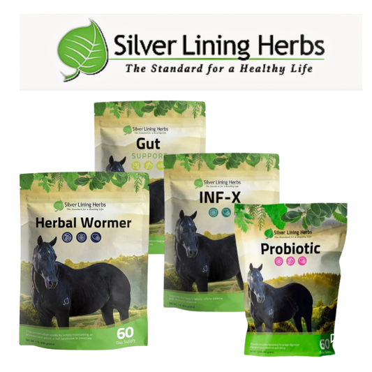 Herbal Horse Supplements, Herbal Horse Wormer, Silver Lining Herbs