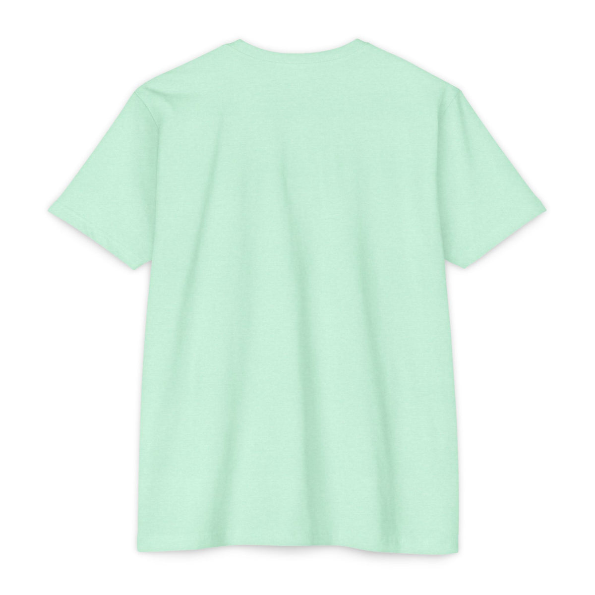 Back view of the I Like It When You Are Nice to Me T-Shirt in mint green color, showcasing its classic fit and soft fabric.