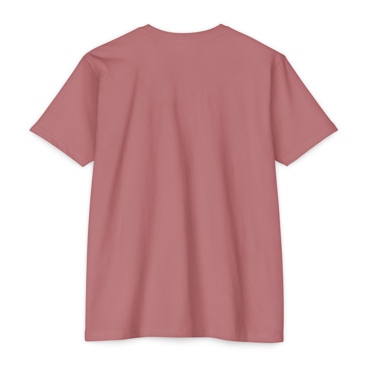 Back view of the soft pink I Like It When You Are Nice to Me T-Shirt, showcasing its classic fit and comfortable design.