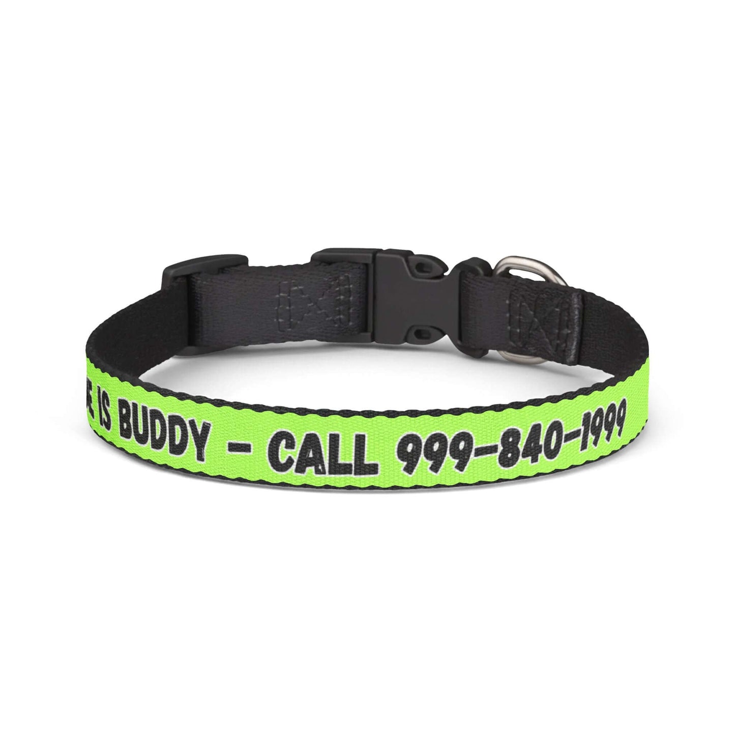 Personalized Pet Collar in bright lime with black text saying "My Name Is BUDDY - Call 999-840-1999"