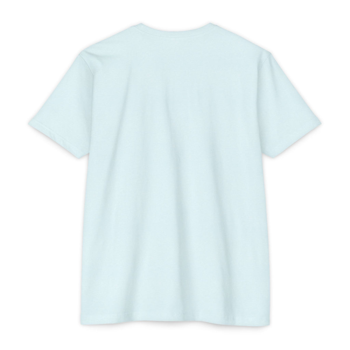 Back view of I Like It When You Are Nice to Me T-Shirt in soft blue fabric, showcasing classic fit and simple design.