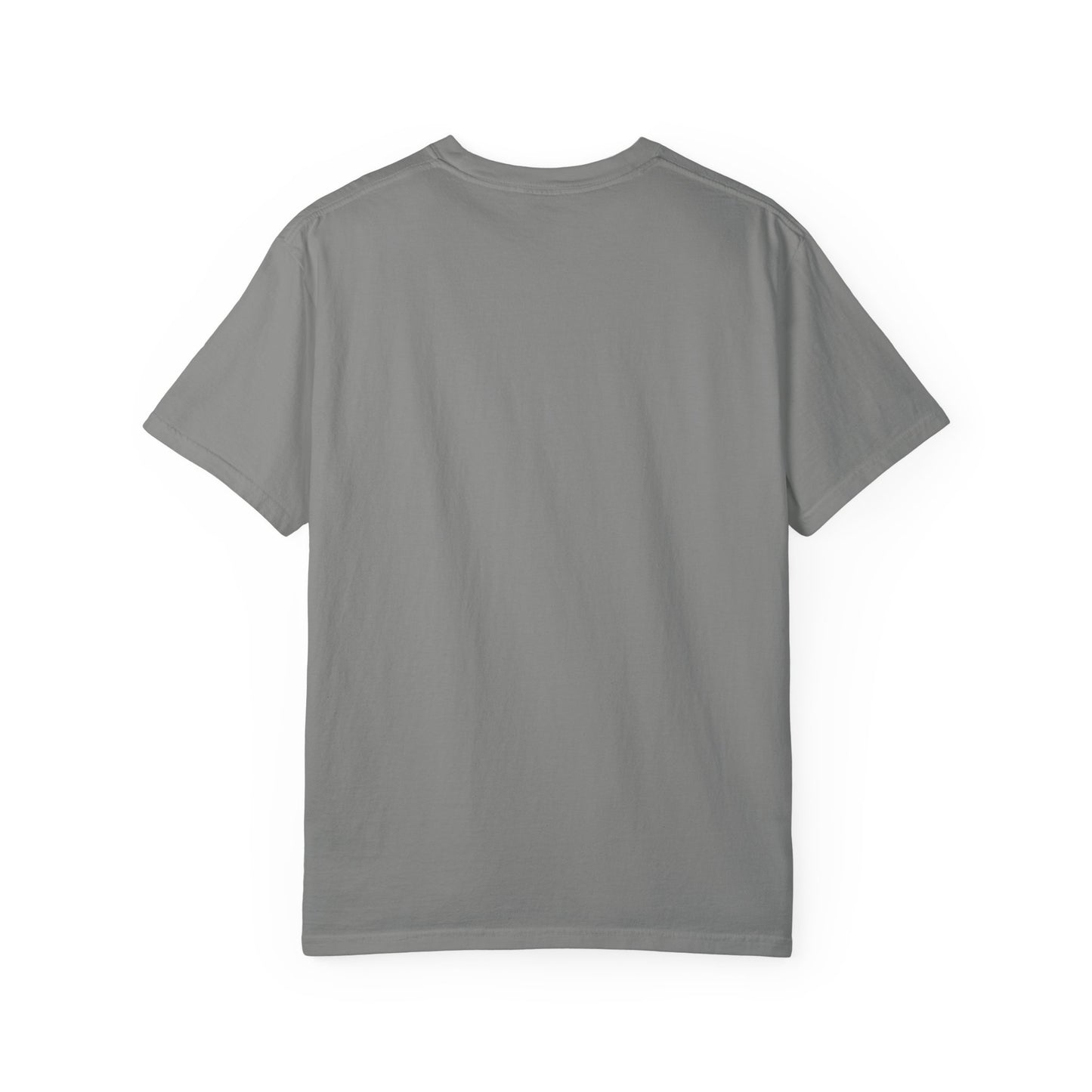 Back view of the Rancher T-Shirt in gray, showcasing its unisex design and garment-dyed finish.