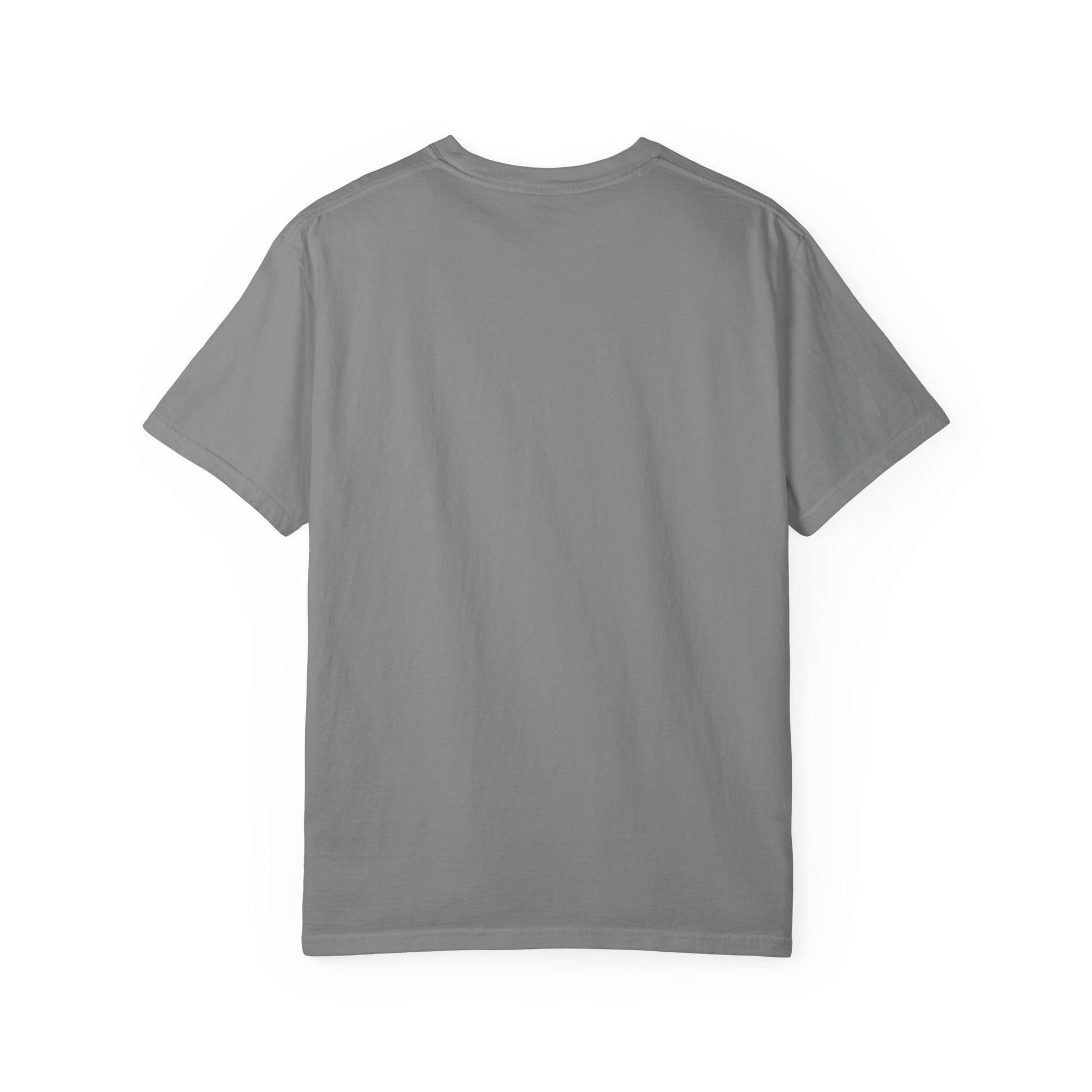 Back view of the Rancher T-Shirt in gray, showcasing its unisex design and garment-dyed finish.