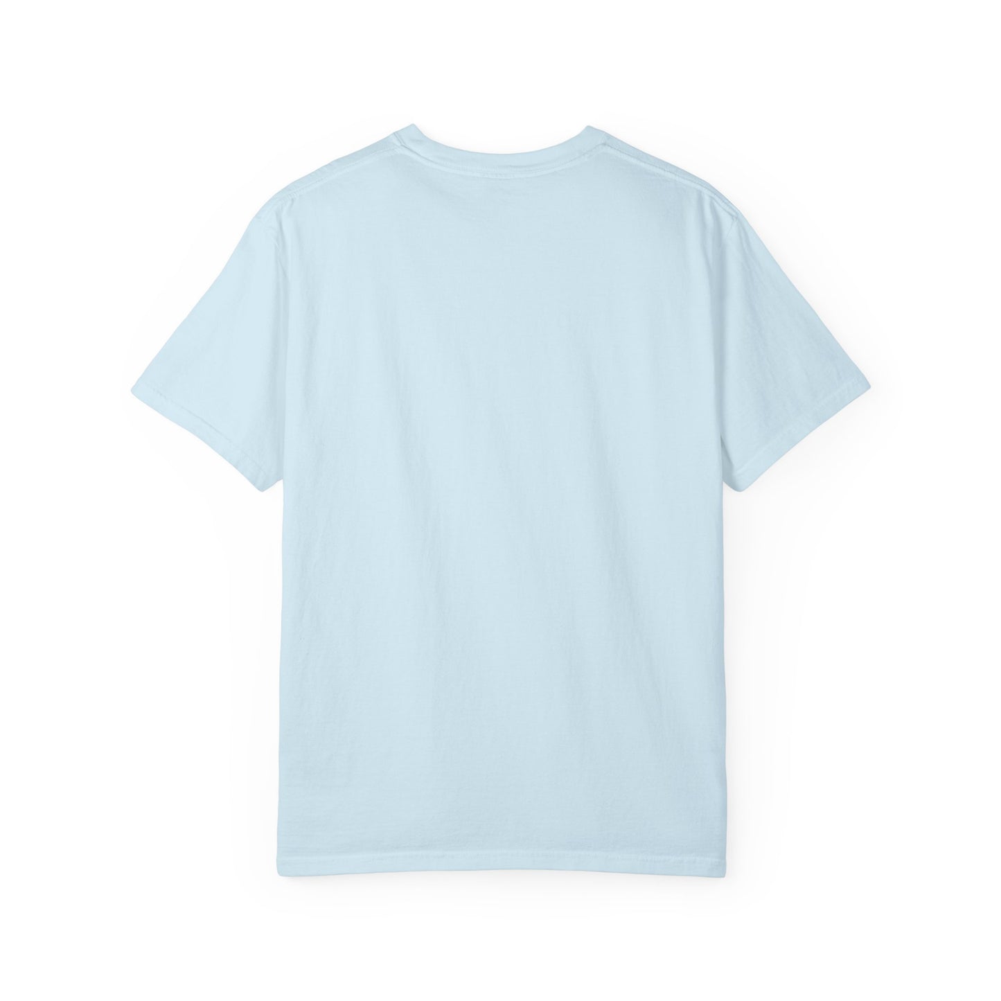 Back view of the Rancher T-Shirt showing the light blue color and unisex design.