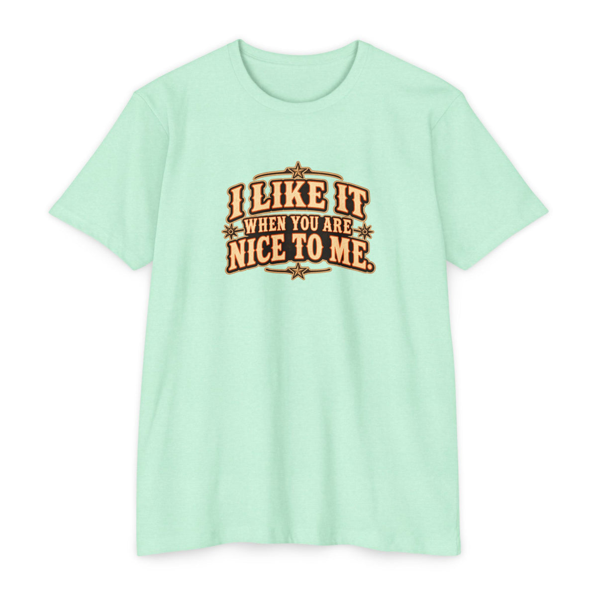 I Like It When You Are Nice To Me T-Shirt in mint green with retro western graphic design.