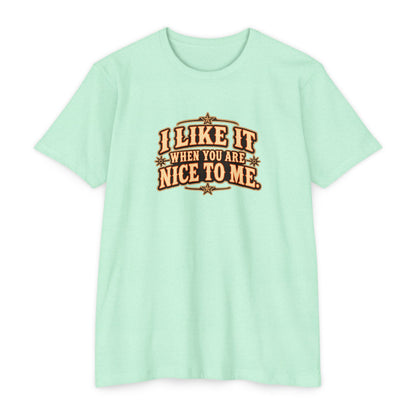 I Like It When You Are Nice To Me T-Shirt in mint green with retro western graphic design.