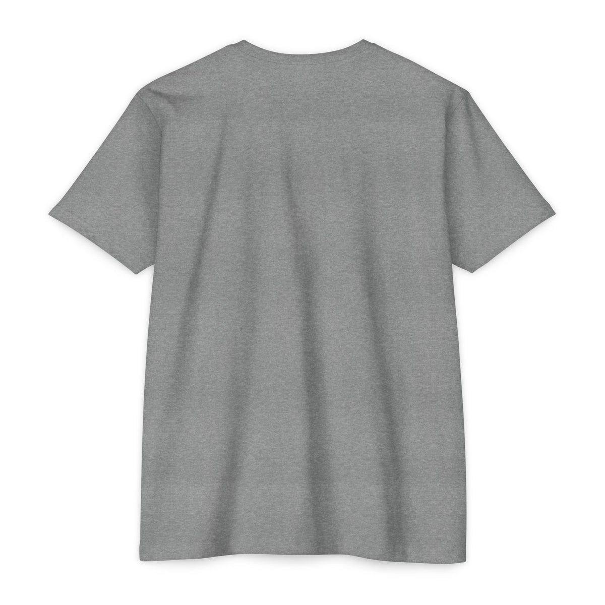 Back view of I Like It When You Are Nice to Me T-Shirt in soft gray fabric.
