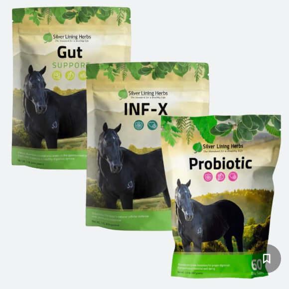 Herbal Horse Supplements, Herbal Horse Wormer, Silver Lining Herbs - The Best New Thing