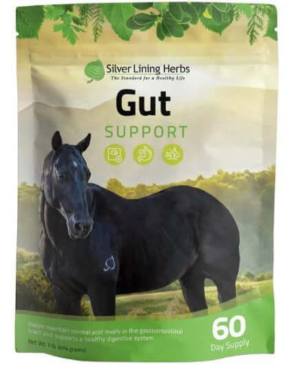 Herbal Horse Supplements, Herbal Horse Wormer, Silver Lining Herbs - The Best New Thing