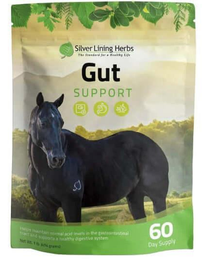 Herbal Horse Supplements, Herbal Horse Wormer, Silver Lining Herbs - The Best New Thing