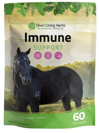 Herbal Horse Supplements, Herbal Horse Wormer, Silver Lining Herbs - The Best New Thing