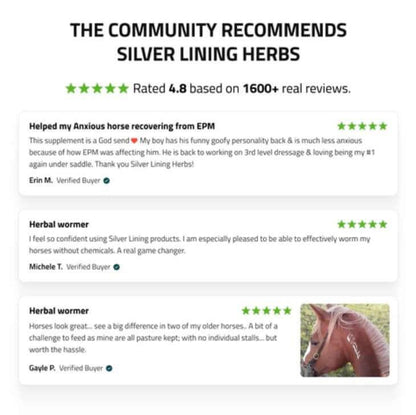 Herbal Horse Supplements, Herbal Horse Wormer, Silver Lining Herbs - The Best New Thing
