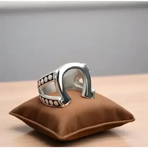 Horseshoe Stainless Steel Ring for Men, Western Jewelry - The Best New Thing