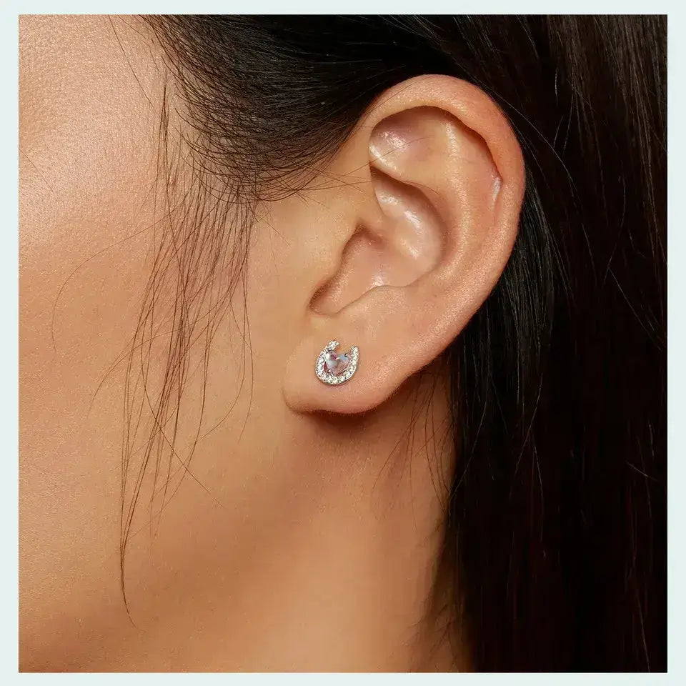 Lucky Horseshoe Stud Earrings 925 Sterling Silver Earrings Moonstone Zircon Fine Gifts for Her - CQE1612 - Jewelry