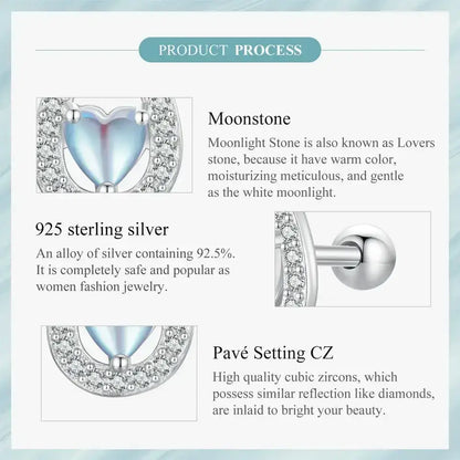 Lucky Horseshoe Stud Earrings 925 Sterling Silver Earrings Moonstone Zircon Fine Gifts for Her - CQE1612 - Jewelry
