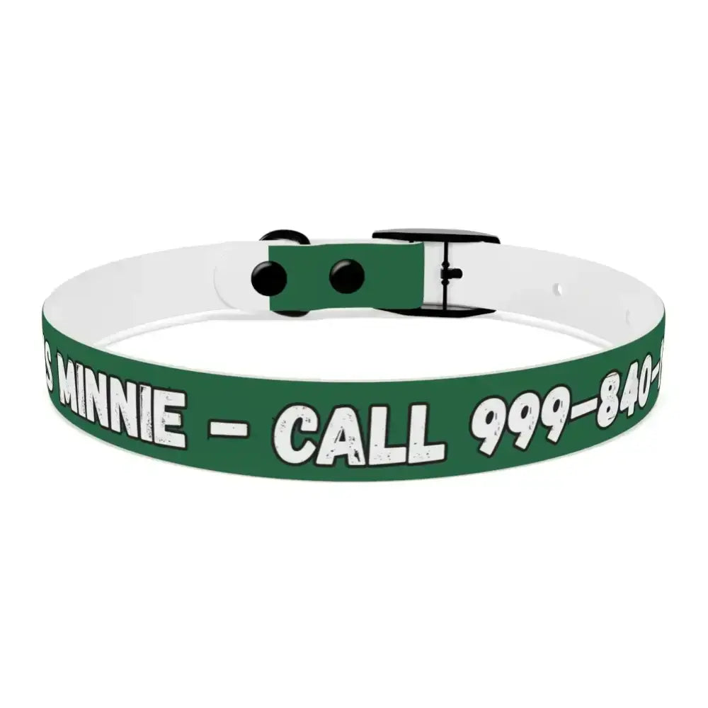 Personalized Pet Collar — Customize Dog Collars, Dog Accessories - The Best New Thing