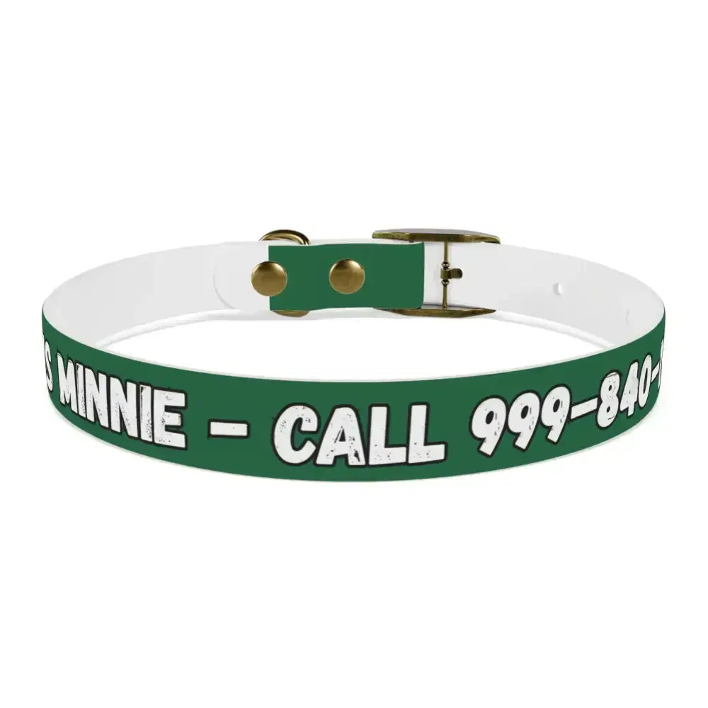 Personalized Pet Collar — Customize Dog Collars, Dog Accessories - The Best New Thing