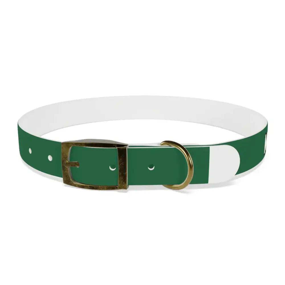 Personalized Pet Collar — Customize Dog Collars Dog Accessories - Pets