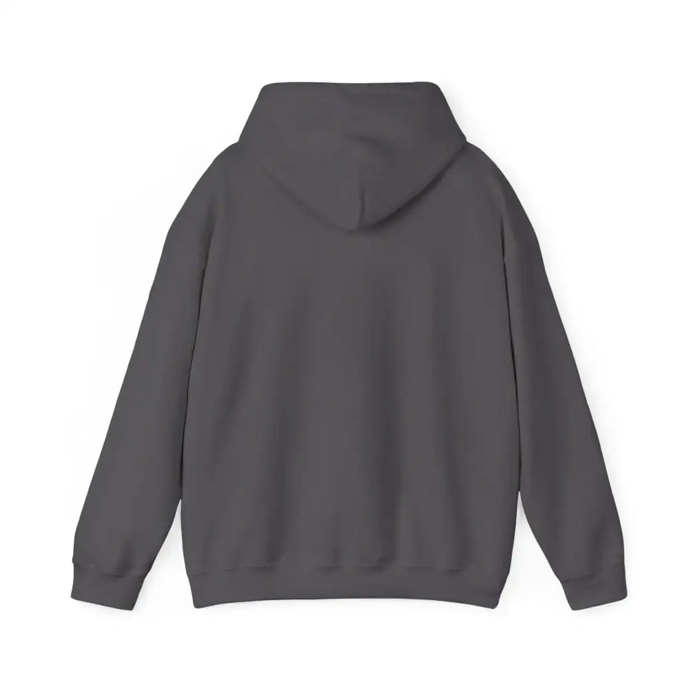 Back view of a gray Party Hoodie, showcasing the hood and relaxed fit design.