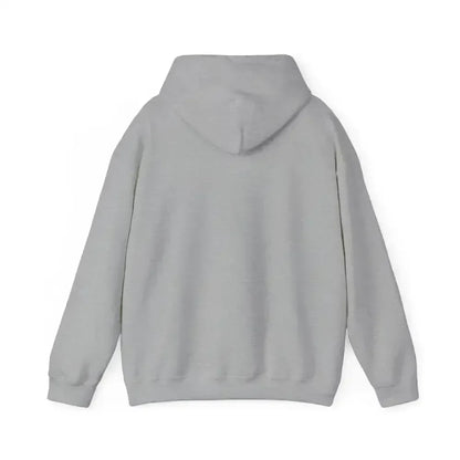 Back view of a gray Party Hoodie showcasing its cozy design and hood.