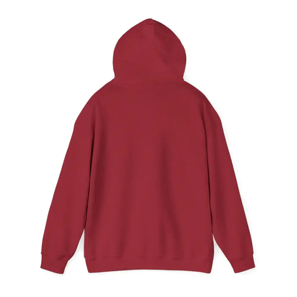 Back view of the Party Hoodie in a rich burgundy color, showcasing its cozy design and hood.